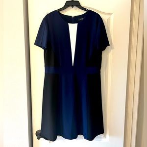 Black and Navy Tahari work dress